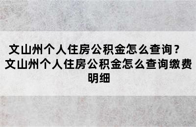 文山州个人住房公积金怎么查询？ 文山州个人住房公积金怎么查询缴费明细